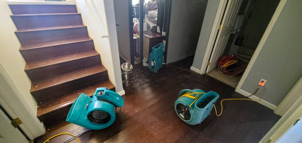 Best 24/7 water damage repair  in Lebanon, VA