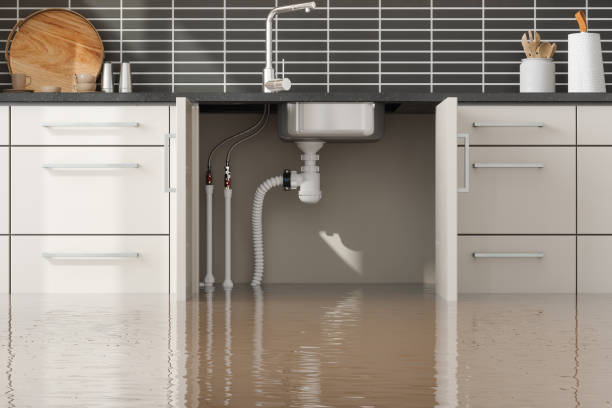 Best Water damage restoration near me  in Lebanon, VA