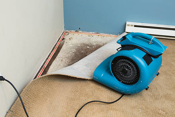 Best Water damage repair service  in Lebanon, VA